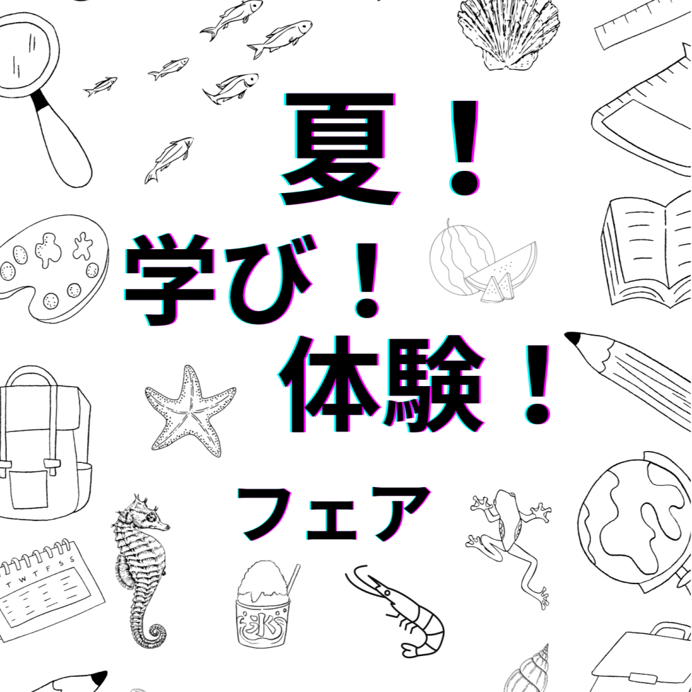 夏! 学び! 体験! フェア開催中🛟