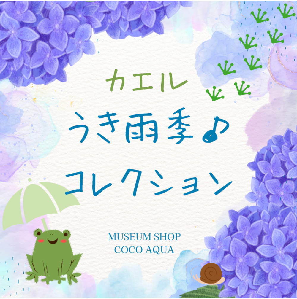 梅雨と言えば・・・