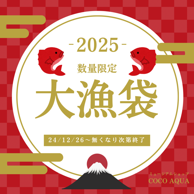 福袋「大漁袋」数量限定販売決定🎣