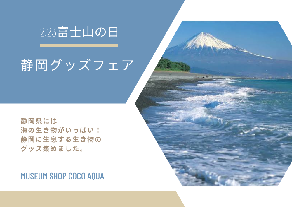 2.23　富士山の日🗻静岡グッズフェア🗻