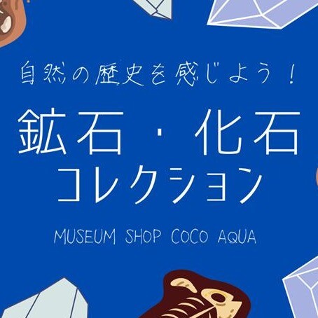 💎鉱石・化石コレクション💎