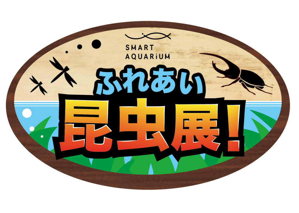 【夏休み限定】ふれあい昆虫展 開催！カブトムシやヘラクレスオオカブトとふれあおう！