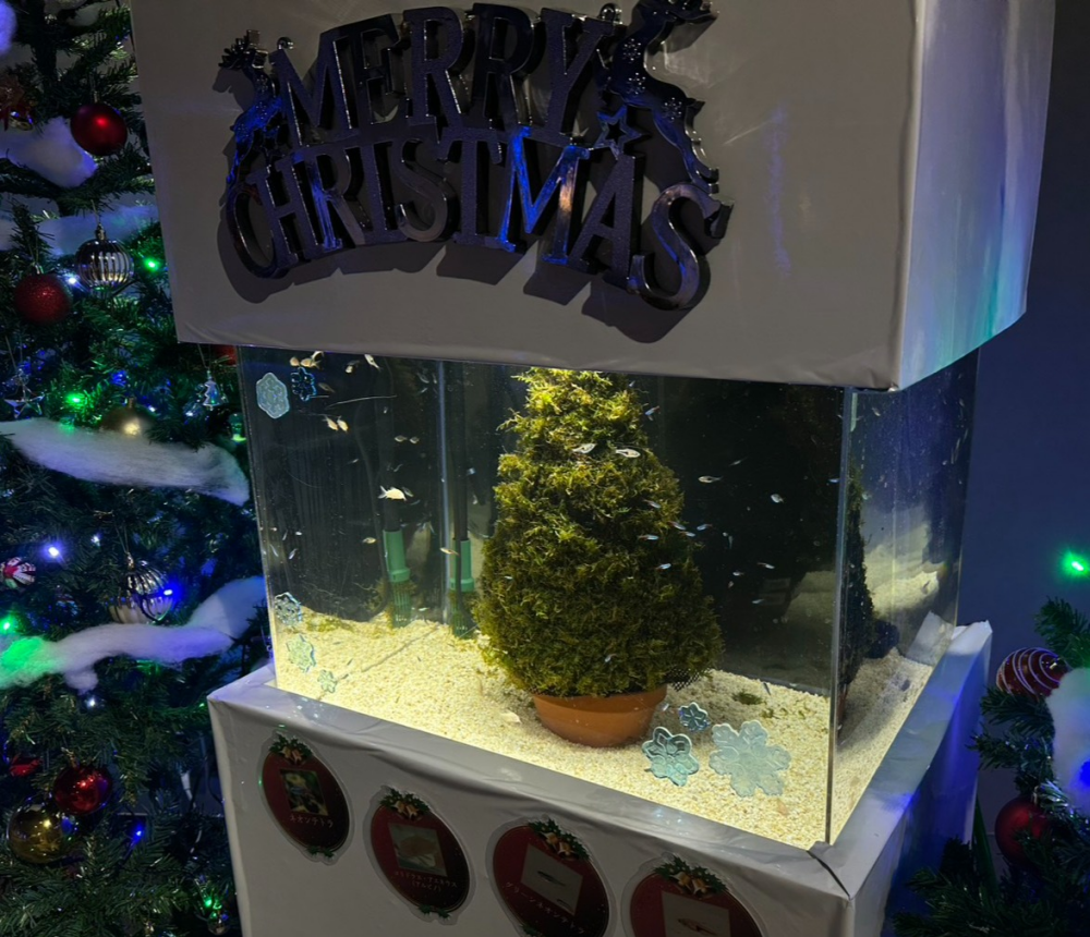 スマートアクアリウム通信vol.33