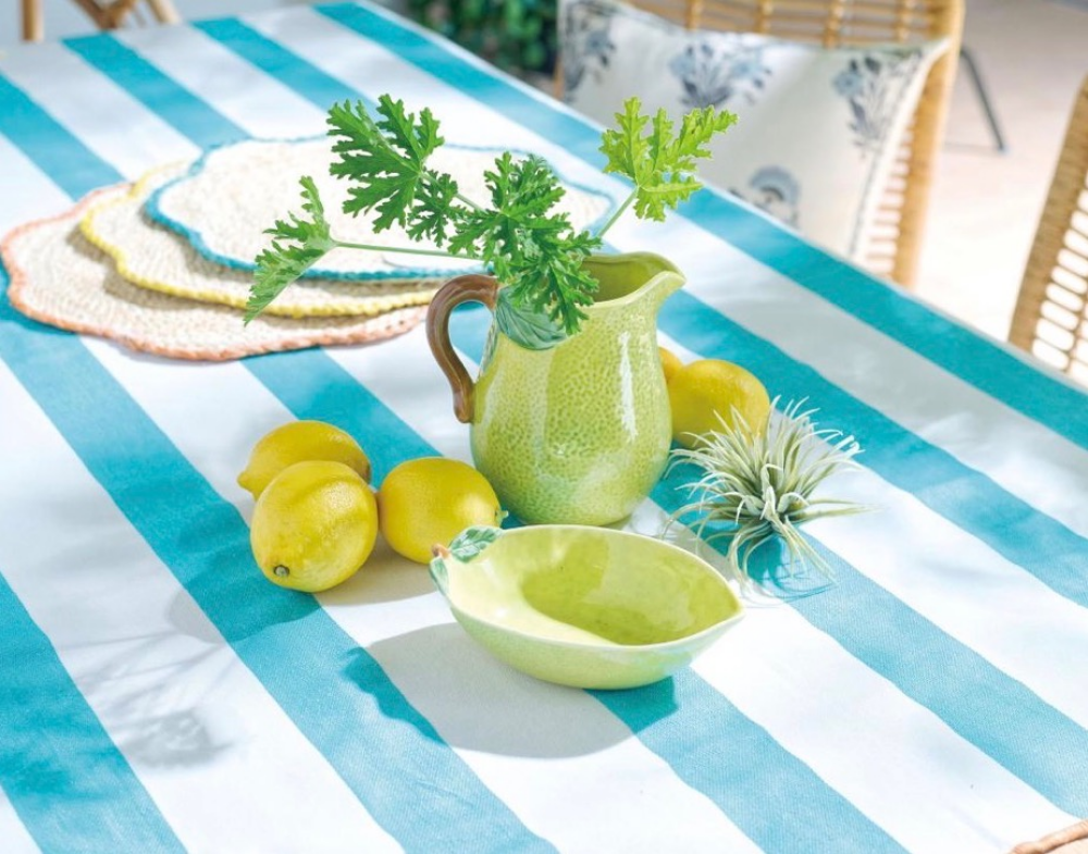 【NEW】シトラス シリーズのご紹介