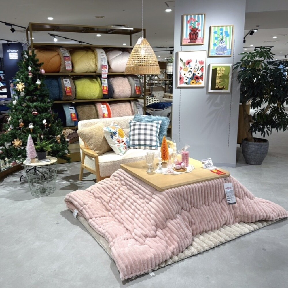 こたつSALE開催中✨