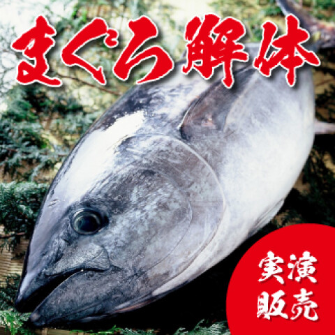 8月17日（日）まぐろの解体ショー開催！ | 𠮷川水産 | 松坂屋静岡店