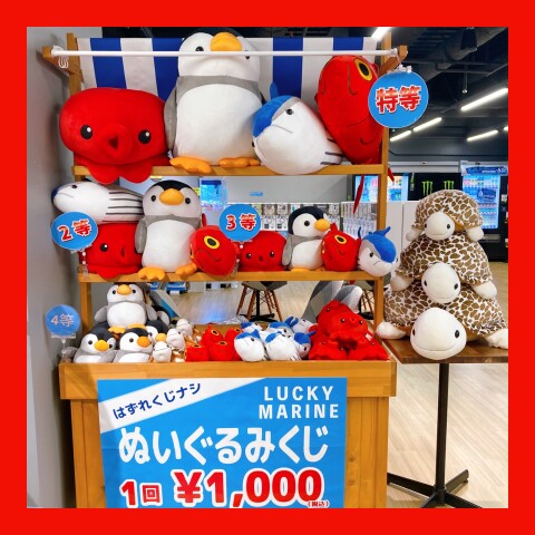 ✨運試し✨ぬいぐるみくじ | ココアクア | 松坂屋静岡店公式 SHOP BLOG