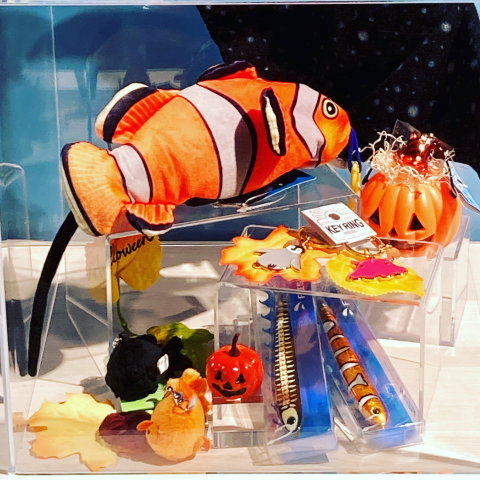 水族館の仲間とHAPPY HALLOWEEN🎃 | ココアクア | 松坂屋静岡店公式