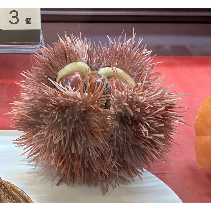 秋の味覚、栗を楽しむ🌰