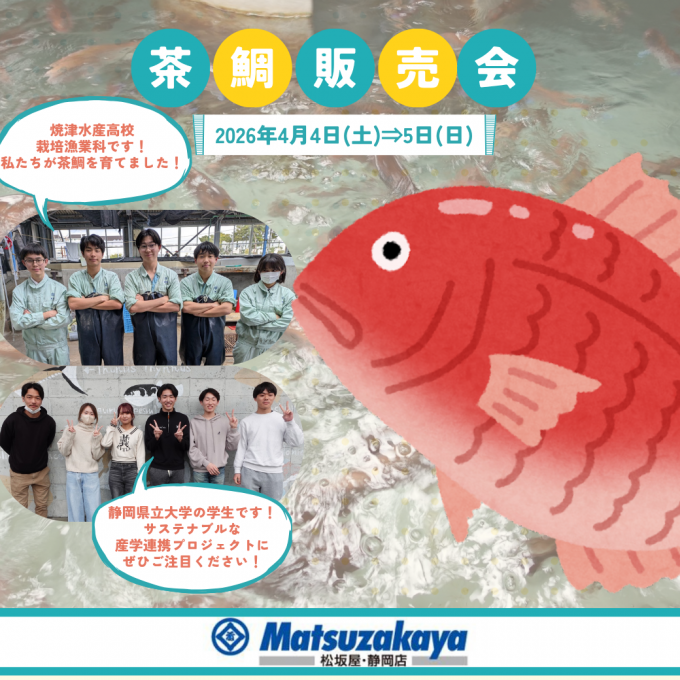 【焼津水産高校×静岡県立大学】茶鯛販売会 開催🎣🍃～サステナブルな未来へ～