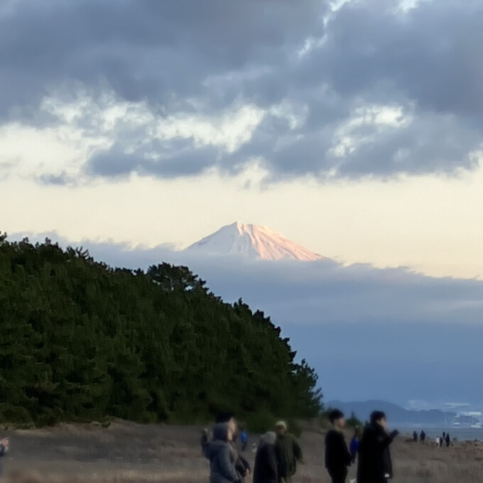 だいたいまいにち富士山｢1月1日」