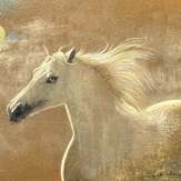 【10月28日(水)から11月3日(火･祝)まで】『風に・・・・。 市川元晴個展 』