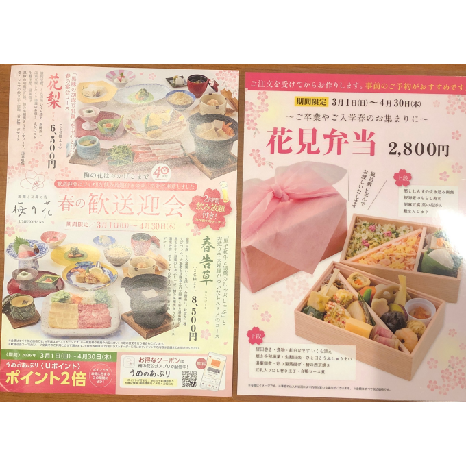 春のおすすめ限定企画ご案内