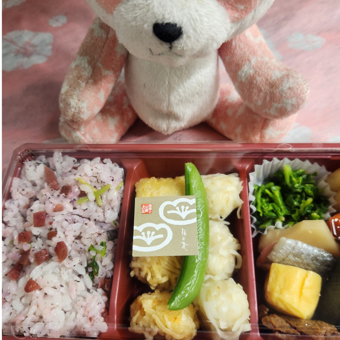 勢い良いお弁当と愛猫。