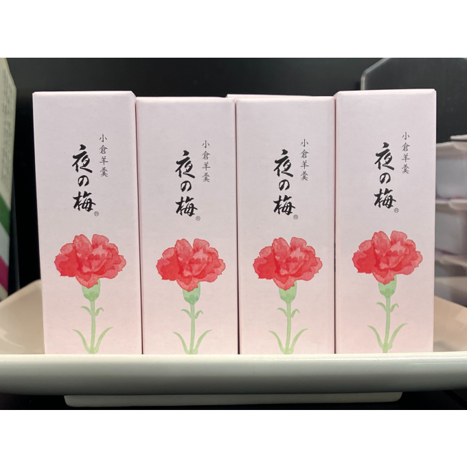 母の日の贈り物に「夜の梅」🌹