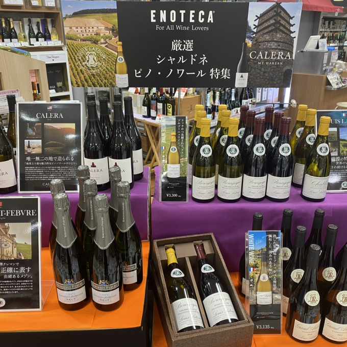 「世界の銘醸地」厳選ワイン イベント販売中！