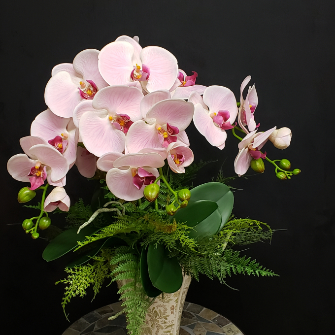 ピンクの胡蝶蘭の鉢植えスタイル
