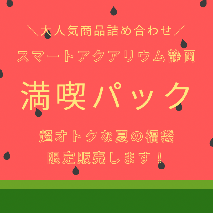 超オトクな夏の福袋販売中！！