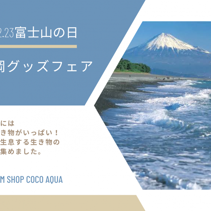 2.23　富士山の日🗻静岡グッズフェア🗻