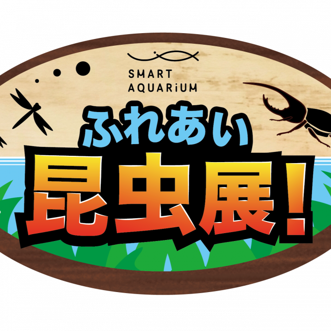 【夏休み限定】ふれあい昆虫展 開催！カブトムシやヘラクレスオオカブトとふれあおう！