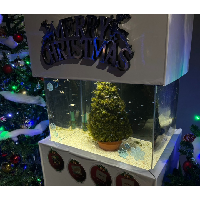 スマートアクアリウム通信vol.33