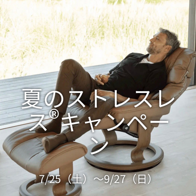 夏のストレスレスキャンペーン☀️