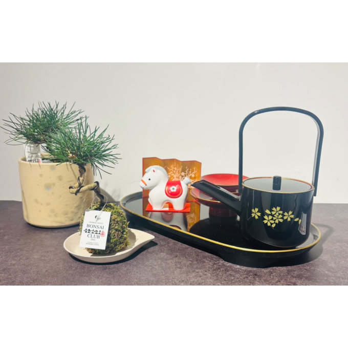 ✨ 緑と迎える清々しい新年。〜縁起を担ぐ「盆栽」で冬支度を進めませんか。✨