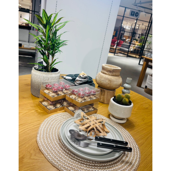 ✨ 店内に新しい緑が仲間入りしました。✨