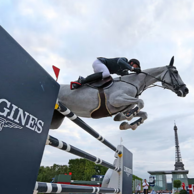 【ロンジン】来年は午年ということで【LONGINES】