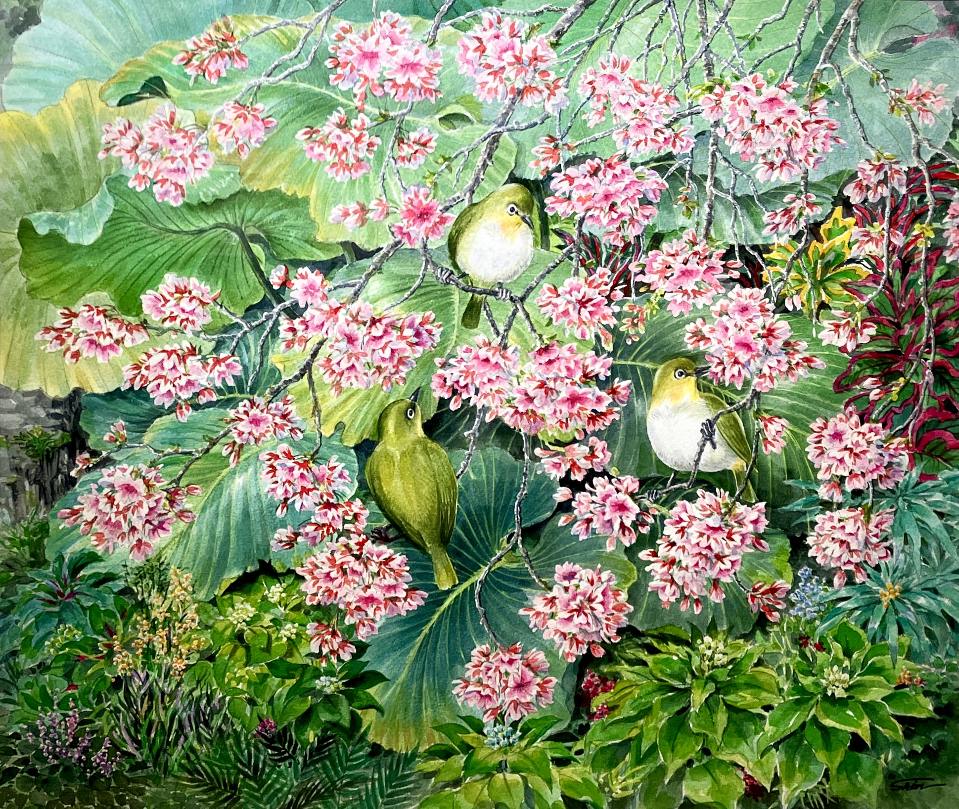 画像