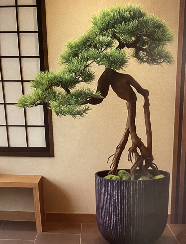 盆景美 | パレフローラ | 大丸下関店公式 SHOP BLOG