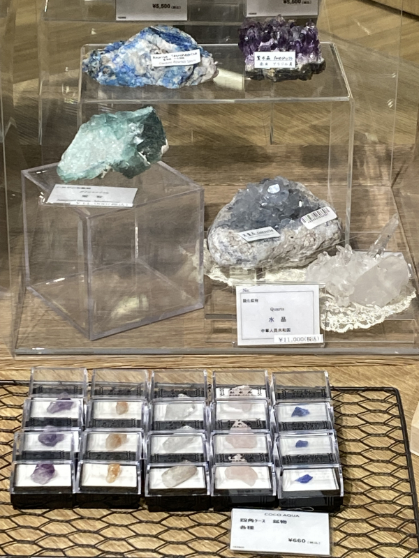 💎鉱石・化石コレクション💎 | ココアクア | 松坂屋静岡店公式 SHOP BLOG