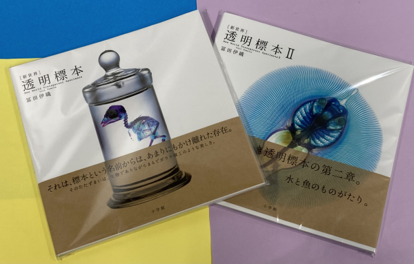 透明標本✨25年1月末まで！！ | ココアクア | 松坂屋静岡店公式 SHOP BLOG