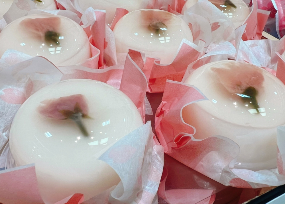 🌸須磨の桜特集🌸2024 ～和菓子編～