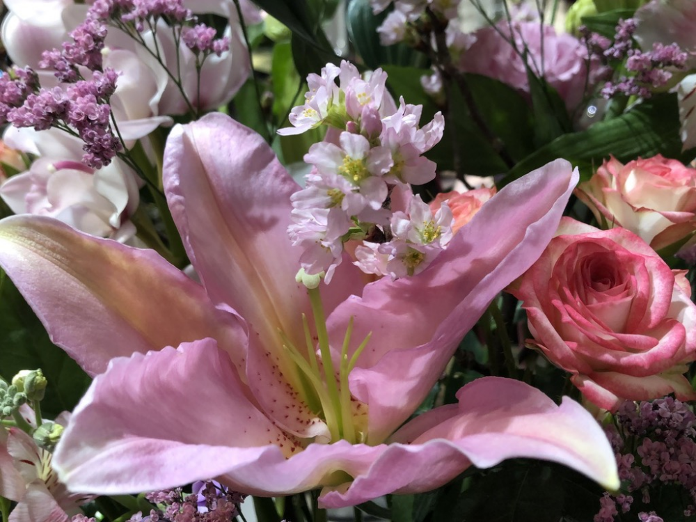 卒業・送別のお花ご予約承っております😊