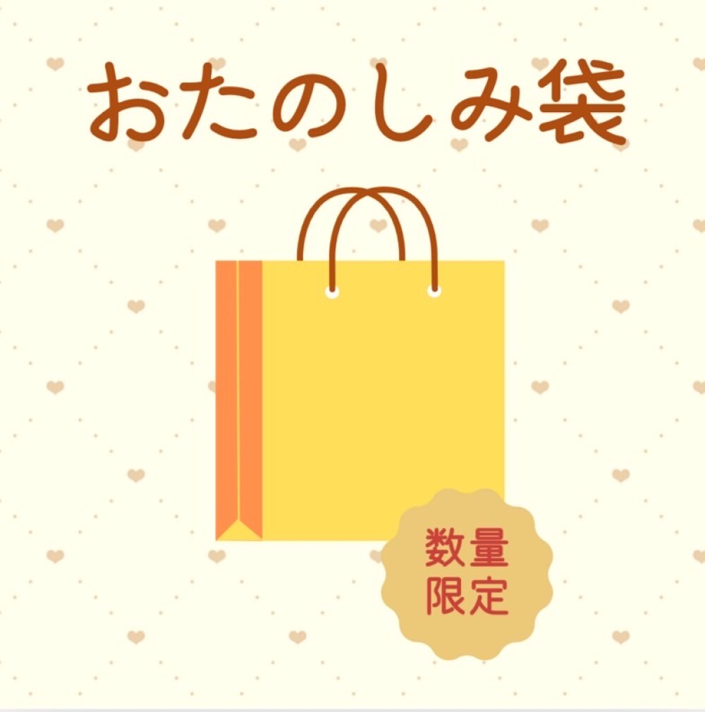 《数量限定》おたのしみ袋🛍️