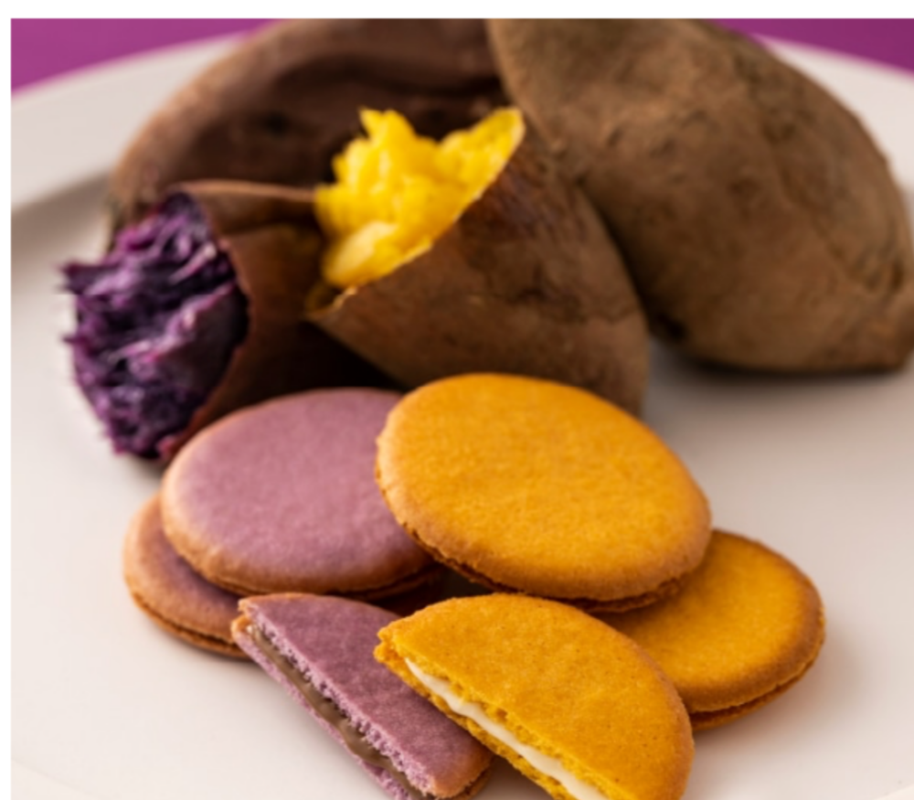 秋彩スイーツ🍂