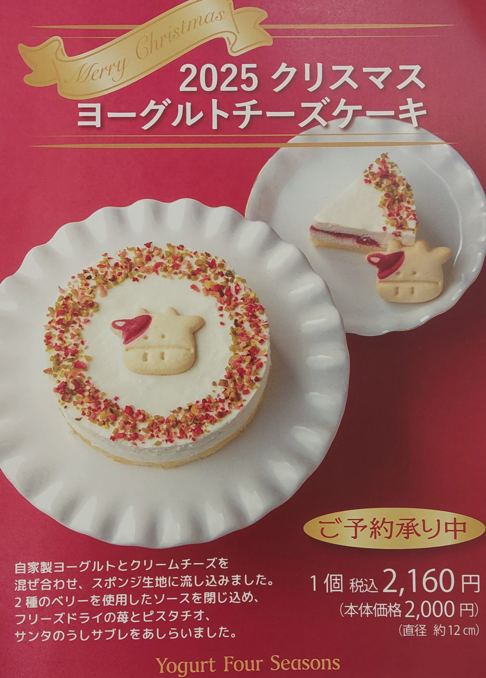 2025クリスマスヨーグルトチーズケーキ