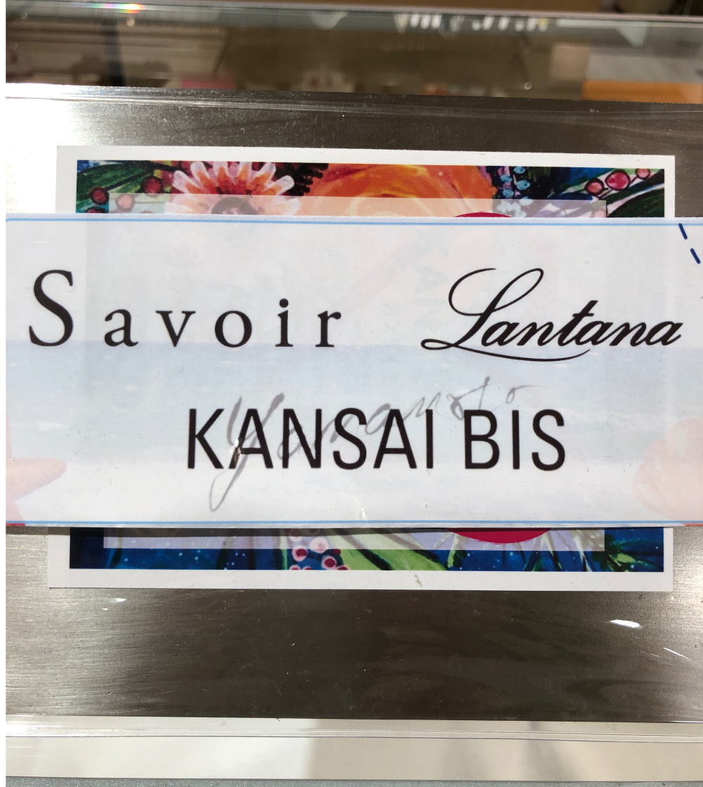 【初めての方限定】新規登録&お買物で豪華プレゼント🎁