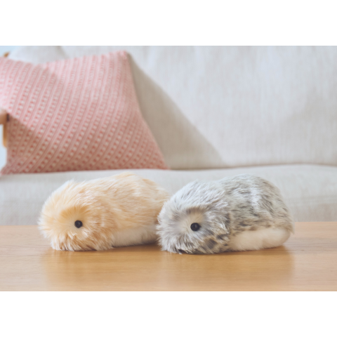 AIロボット「moflin (モフリン)」販売会 | 須磨店イベント | 大丸須磨