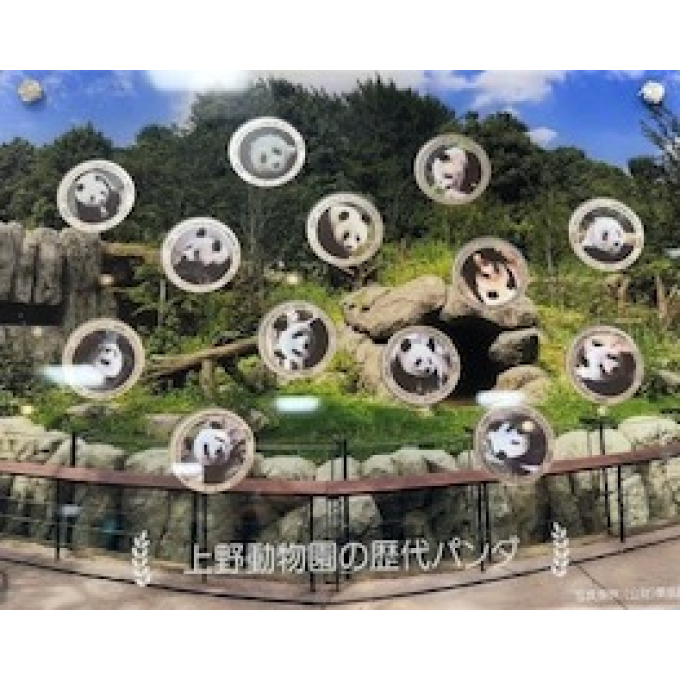 ゴールド＆ジュエリーキャンペーン