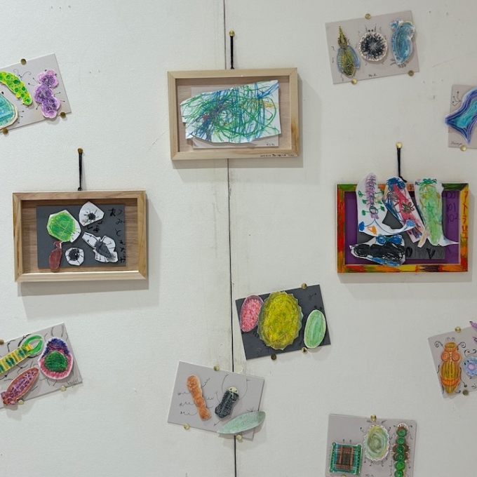 「世界でたった1つの昆虫」アート特別展示🎨