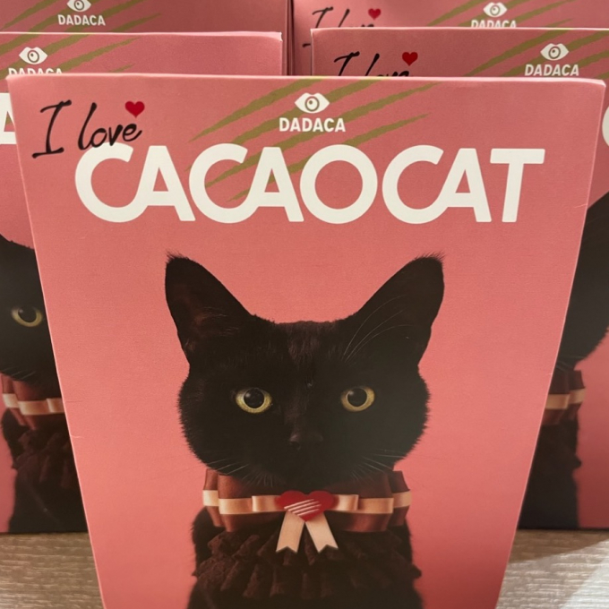 【CACAOCAT】チョコレート入荷しました！
