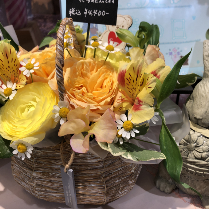 春のお花、入荷してきています♪