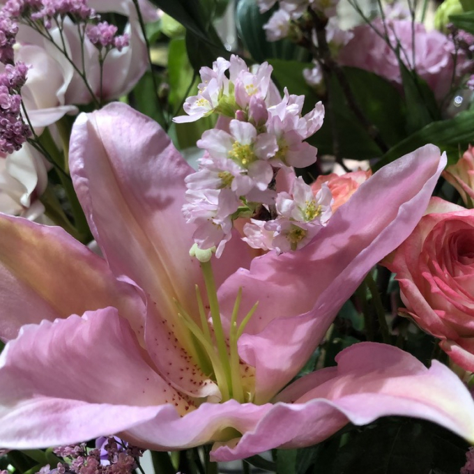 卒業・送別のお花ご予約承っております😊