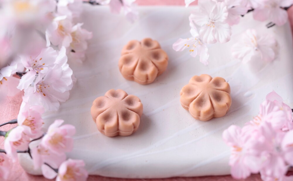 伊織のさくら