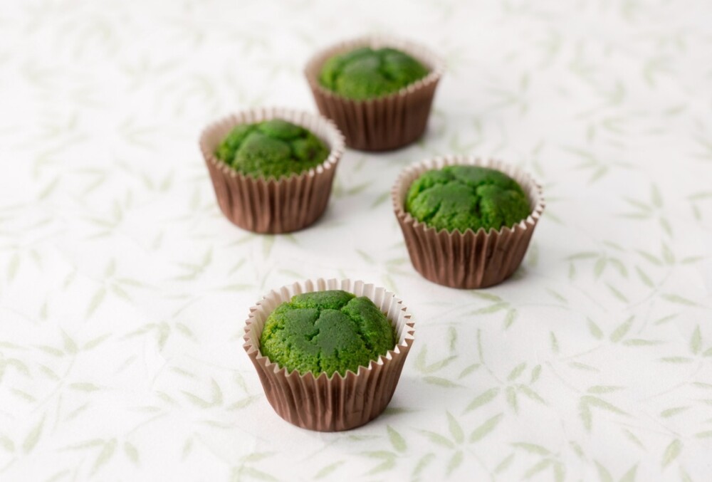 笹屋伊織　京抹茶ケイキ