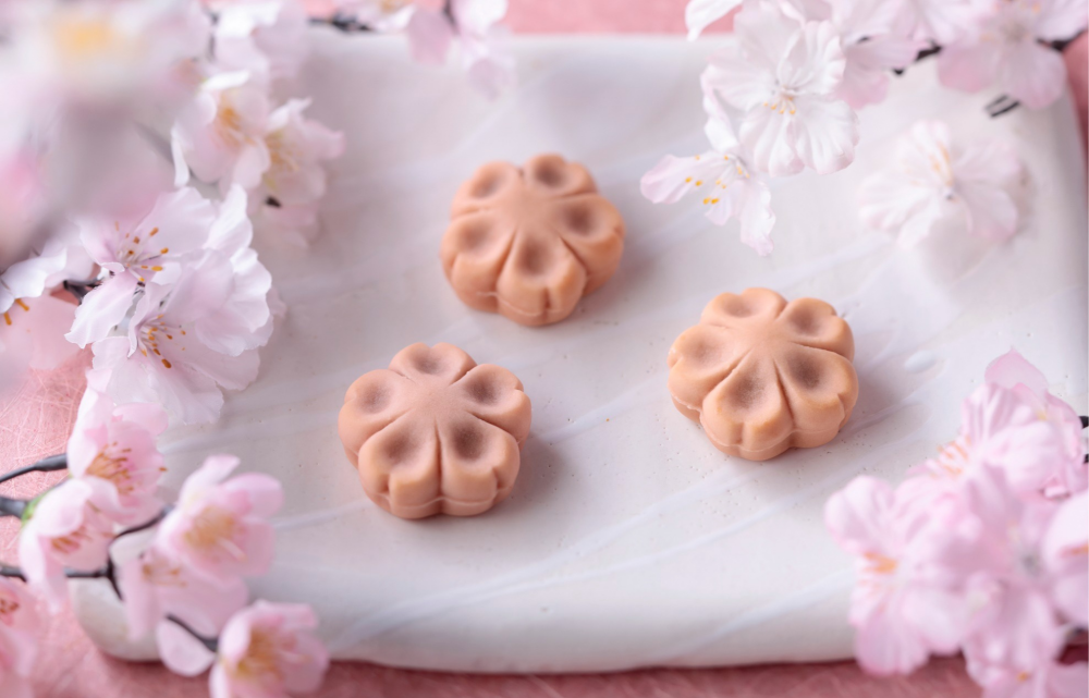 笹屋伊織　伊織のさくら