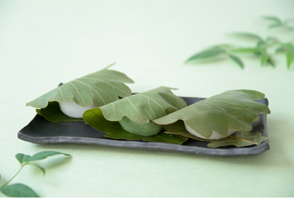 笹屋伊織　柏餅