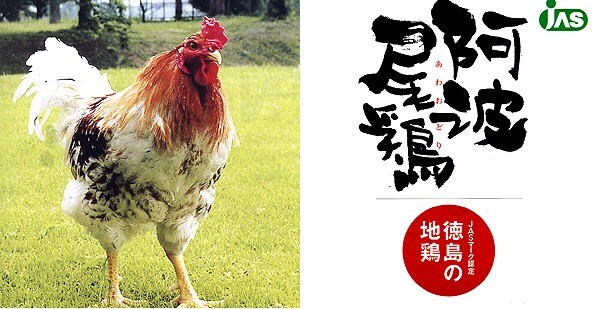 阿波尾鶏もも肉（地鶏）の試食販売のお知らせ！！